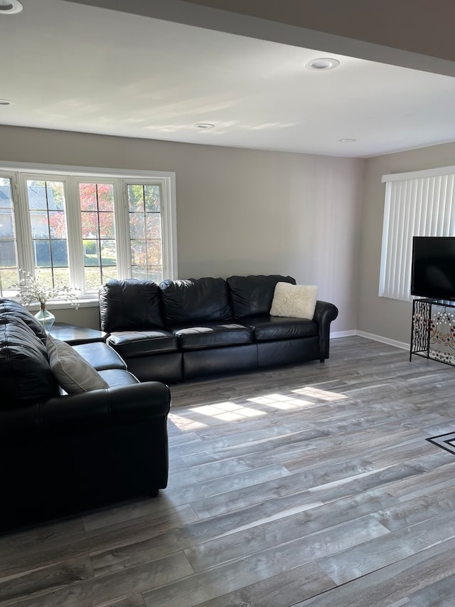 living room with hardwood / wood-style floors