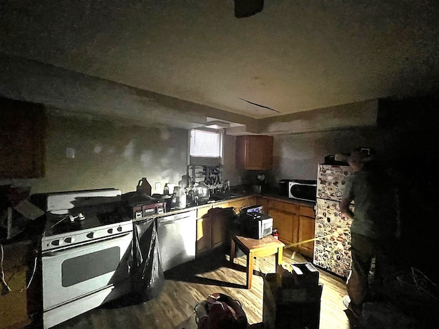 kitchen with white electric range oven, refrigerator, light hardwood / wood-style floors, and dishwasher