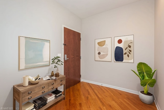 hallway featuring wood-type flooring