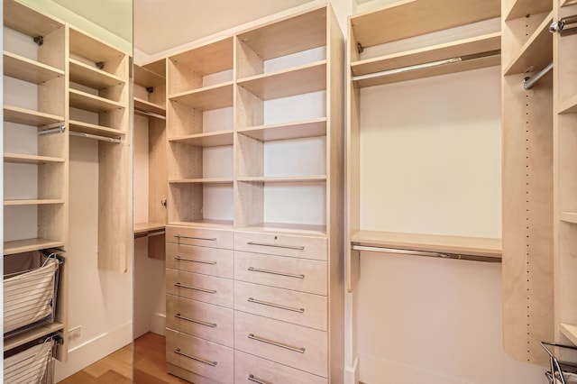 spacious closet featuring light hardwood / wood-style flooring