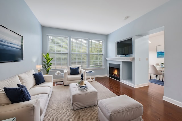 living room featuring dark hardwood / wood-style flooring