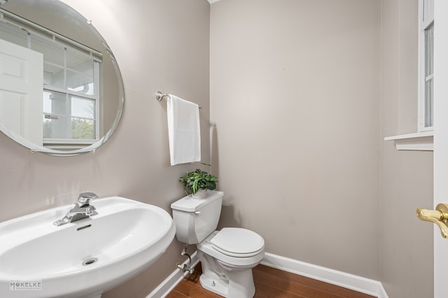 bathroom featuring wood-type flooring, toilet, and sink