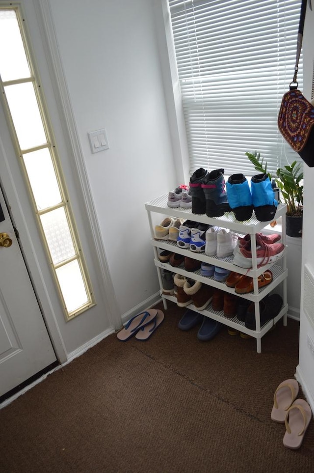 interior details featuring carpet flooring