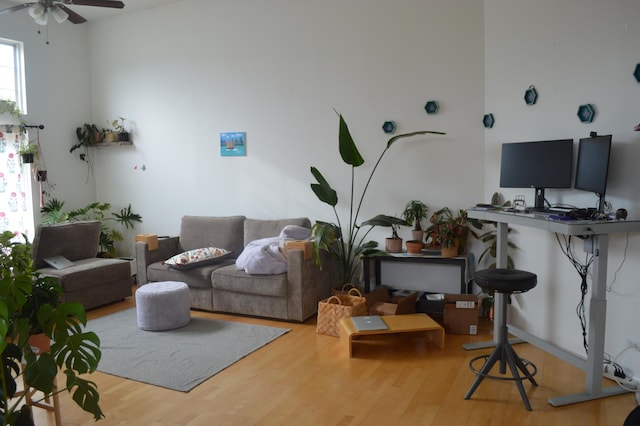 living room with ceiling fan and hardwood / wood-style floors