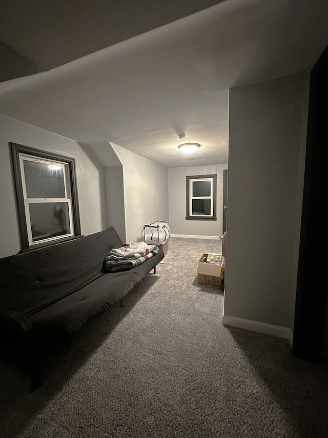 additional living space featuring carpet