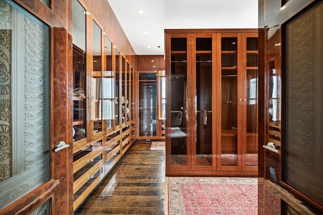 interior space with dark wood-type flooring