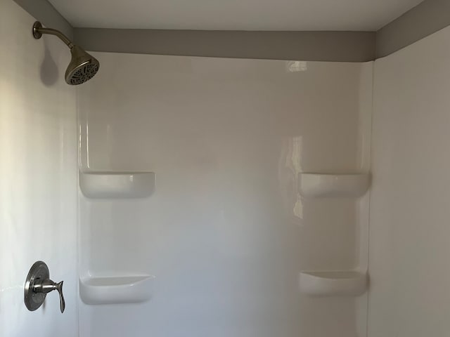 interior details featuring a shower