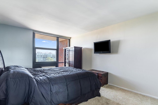 3041 S Michigan Ave Unit 504, Chicago, IL 60616 - bedroom with carpet floors and baseboards