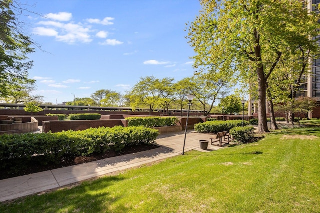 3041 S Michigan Ave Unit 504, Chicago, IL 60616 - view of community with a yard