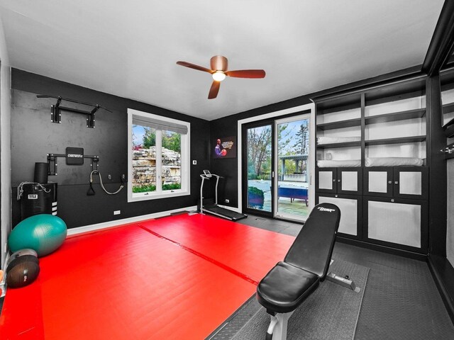 51 Hillburn Ln, North Barrington, IL 60010 - exercise area with a ceiling fan and baseboards