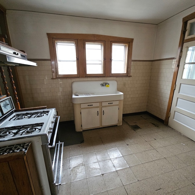 additional living space with light wood-type flooring and lofted ceiling with skylight