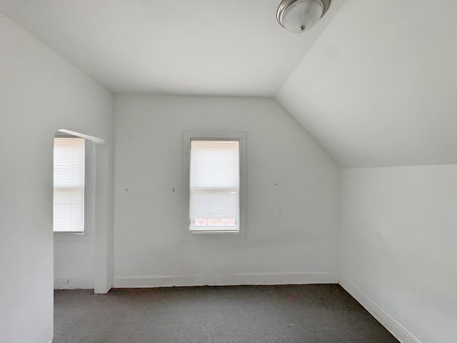 additional living space with lofted ceiling and carpet floors