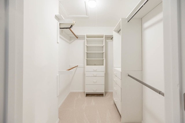 spacious closet featuring light carpet