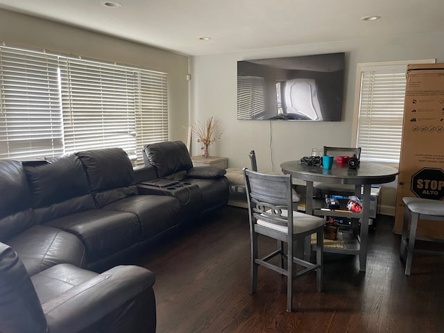 living room featuring dark hardwood / wood-style floors