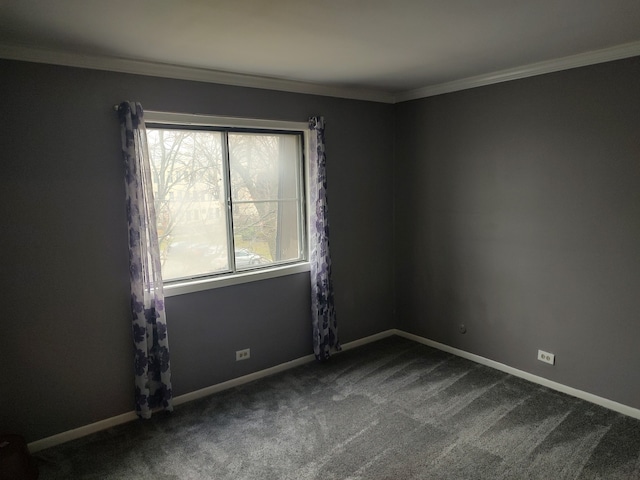 carpeted empty room with crown molding