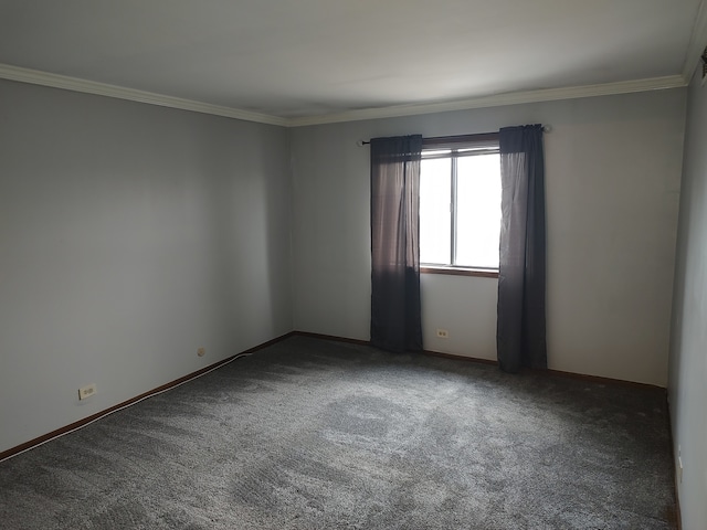 carpeted empty room with ornamental molding