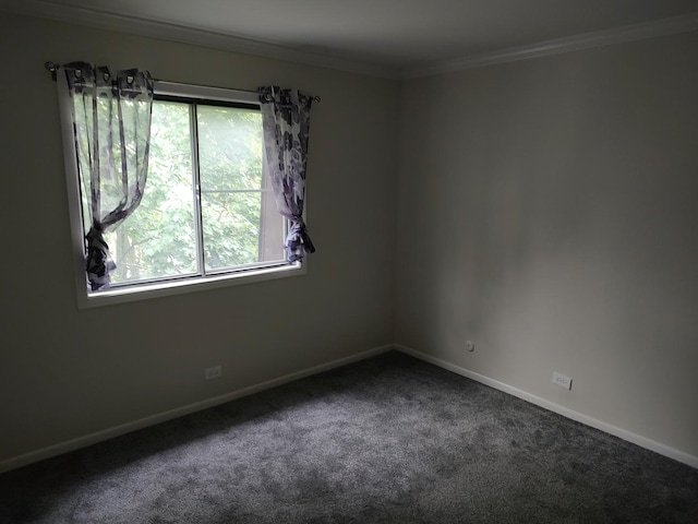 129 W Brandon Ct Unit 33, Palatine, IL 60067 - carpeted empty room with ornamental molding and baseboards