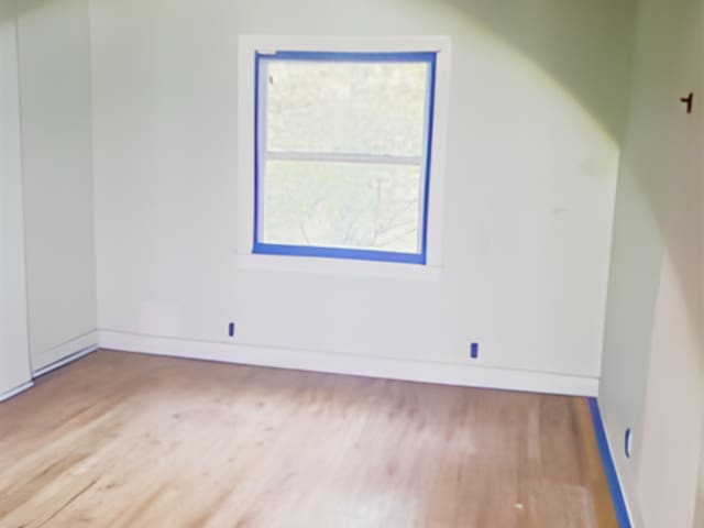 spare room featuring wood-type flooring