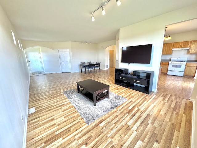 living room featuring a chandelier, light hardwood / wood-style floors, and track lighting