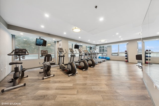 exercise room featuring light hardwood / wood-style flooring and a healthy amount of sunlight