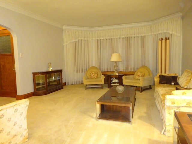 living area with carpet and crown molding