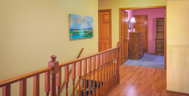 hall featuring wood-type flooring