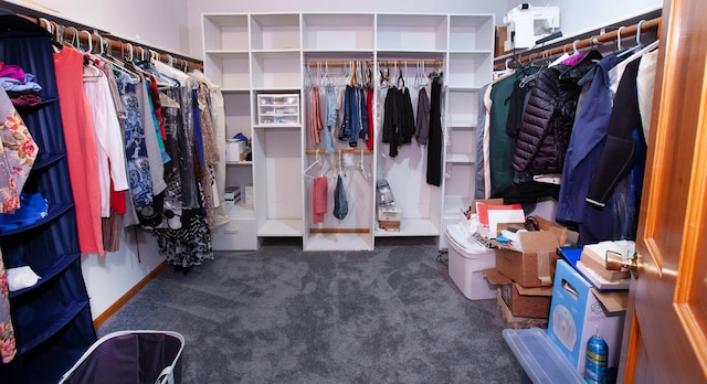 walk in closet with dark colored carpet