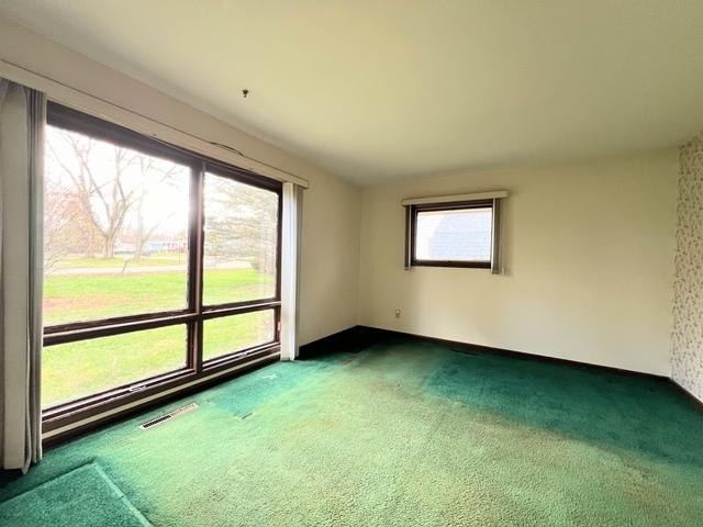 carpeted empty room featuring plenty of natural light