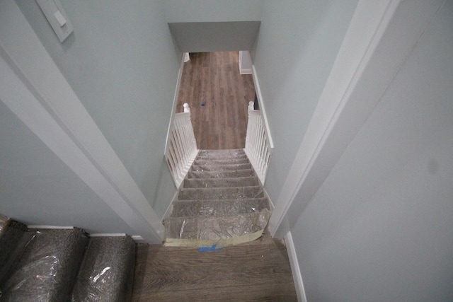 staircase featuring wood-type flooring