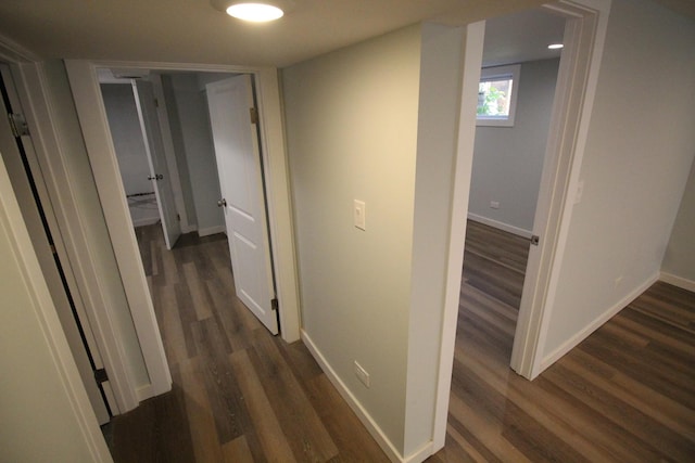 basement featuring dark hardwood / wood-style flooring