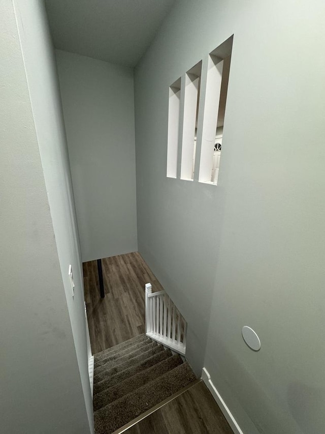 stairway featuring wood-type flooring