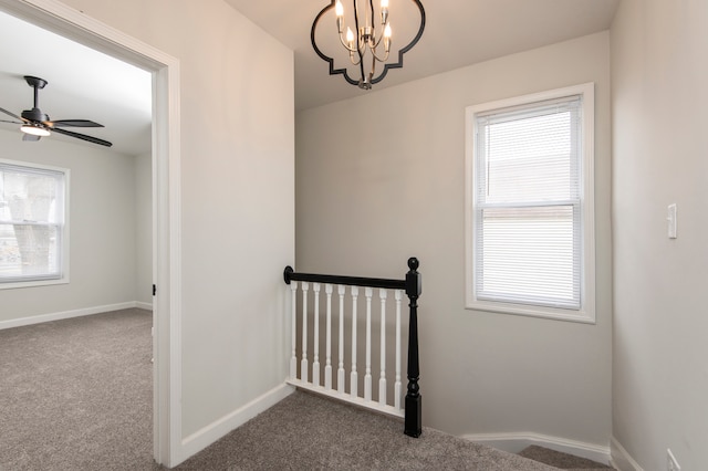 stairway with carpet flooring and a healthy amount of sunlight