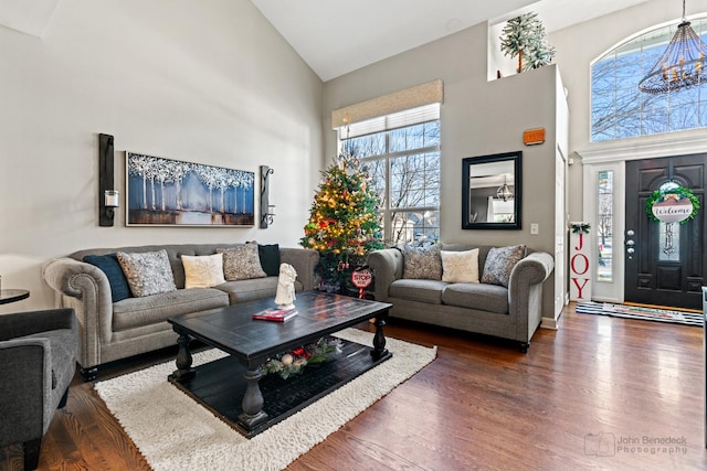 living room featuring high vaulted ceiling and dark wood-type flooring