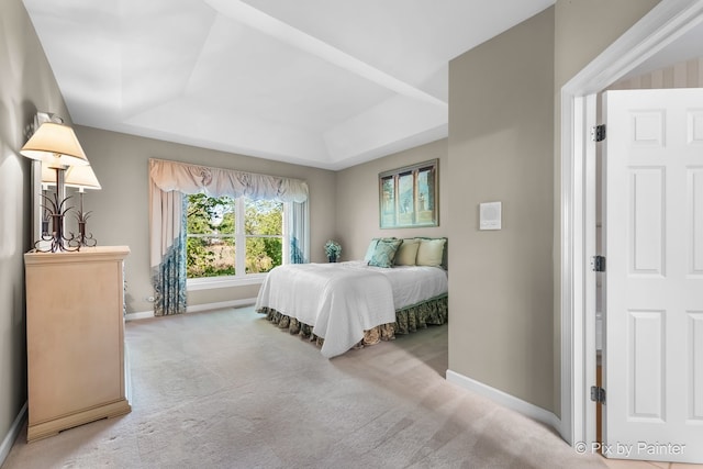 bedroom featuring a tray ceiling and carpet floors