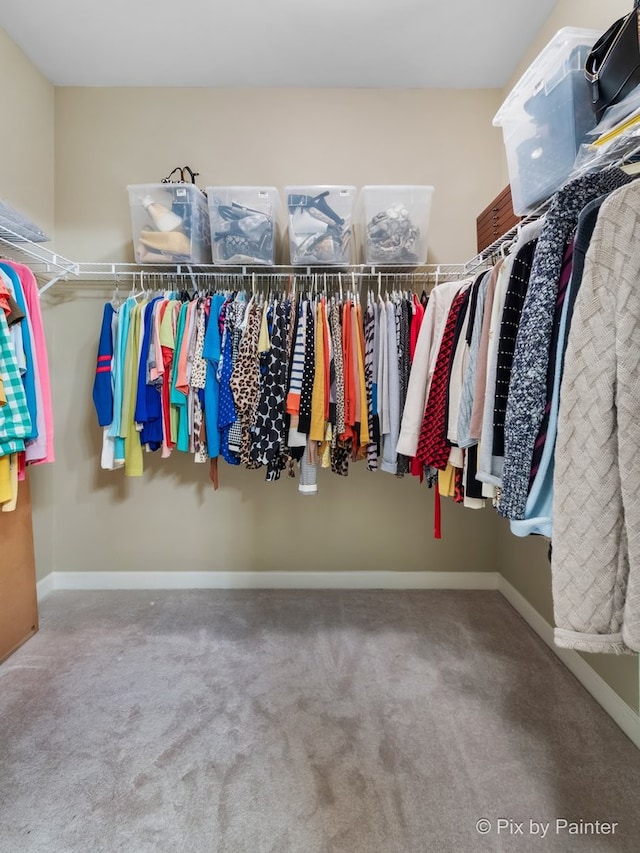 spacious closet featuring carpet flooring