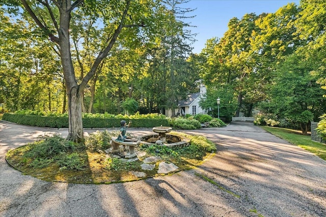 147 Central Ave, Highland Park, IL 60035 - photo 52