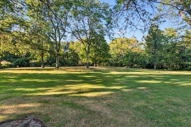 147 Central Ave, Highland Park, IL 60035 - photo 57