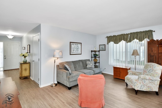 living room featuring light hardwood / wood-style floors