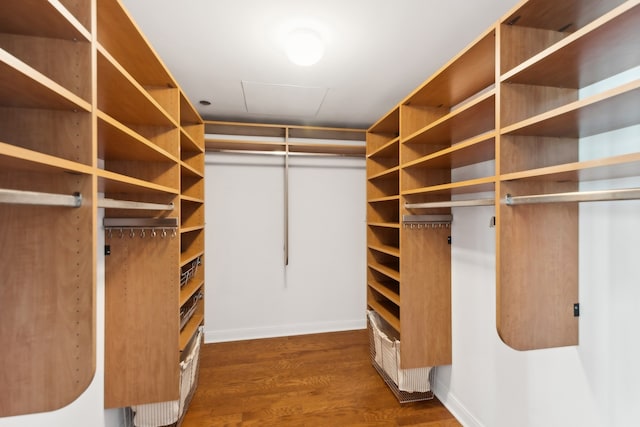 spacious closet featuring dark hardwood / wood-style floors