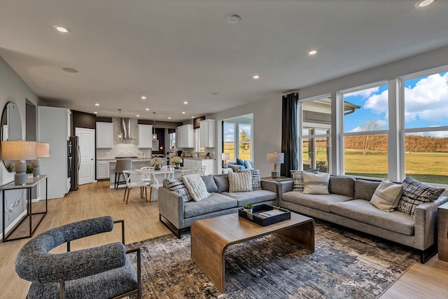 living room featuring light hardwood / wood-style floors