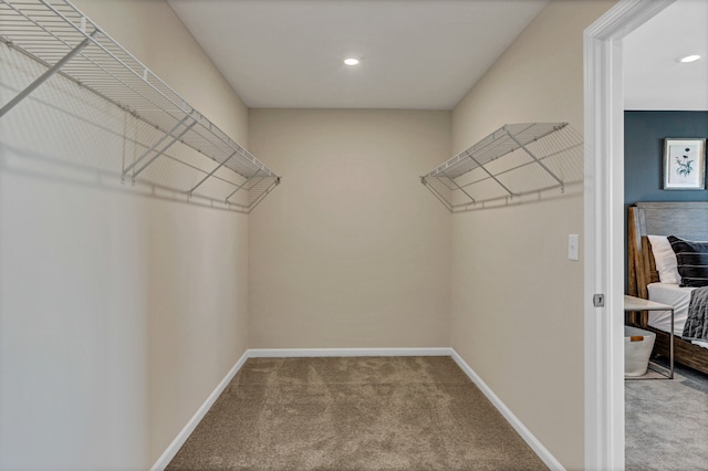 walk in closet with carpet flooring