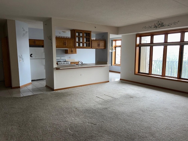 unfurnished living room featuring sink, light colored carpet, and a textured ceiling