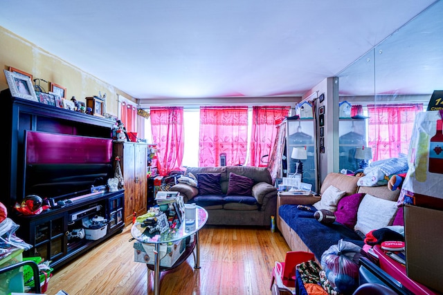 living room featuring light hardwood / wood-style floors and a wealth of natural light