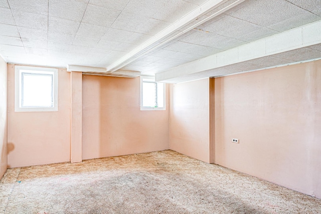 basement featuring carpet