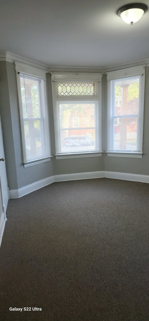 empty room featuring dark colored carpet and ornamental molding