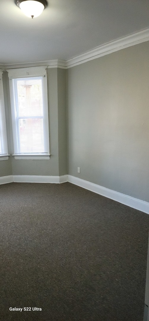 spare room featuring crown molding and dark colored carpet