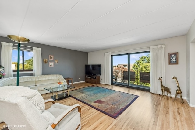 living room with light hardwood / wood-style flooring