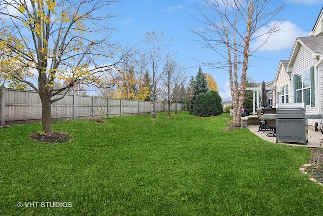 view of yard featuring a patio