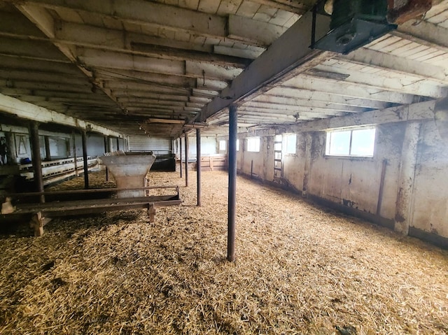 basement featuring carpet flooring