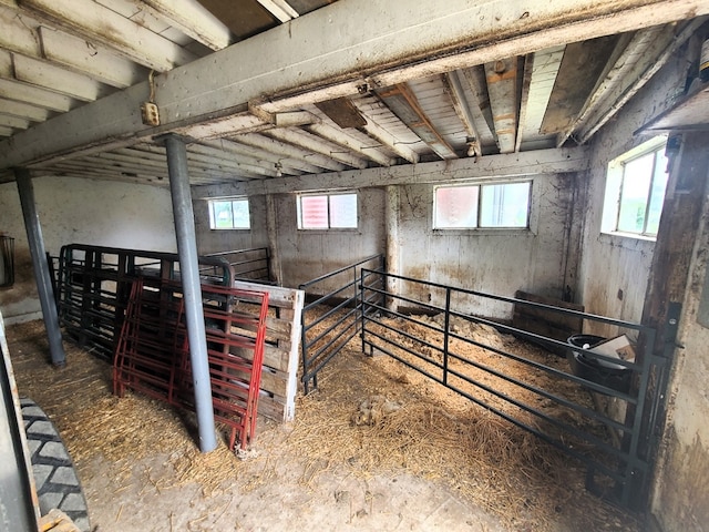 view of horse barn